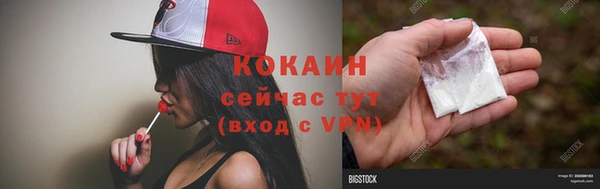 первитин Гусев