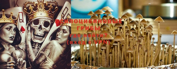 первитин Гусев