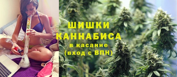 первитин Гусев