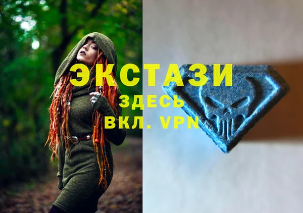 первитин Гусев